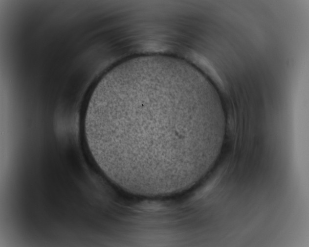 X0000093170534200710031505
