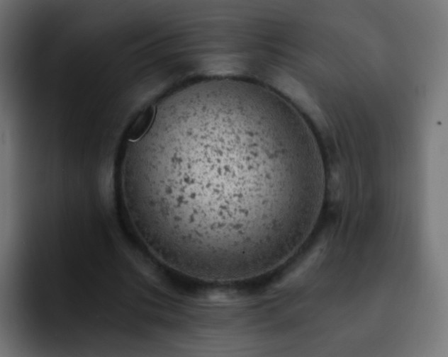 X0000093170535200710031505