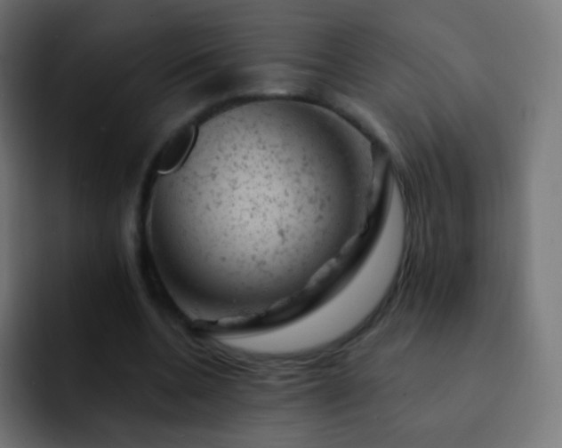 X0000093170536200710031505