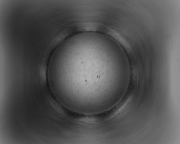X0000093170537200710031505
