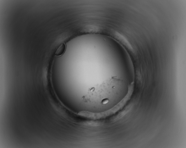 X0000093170538200710031505