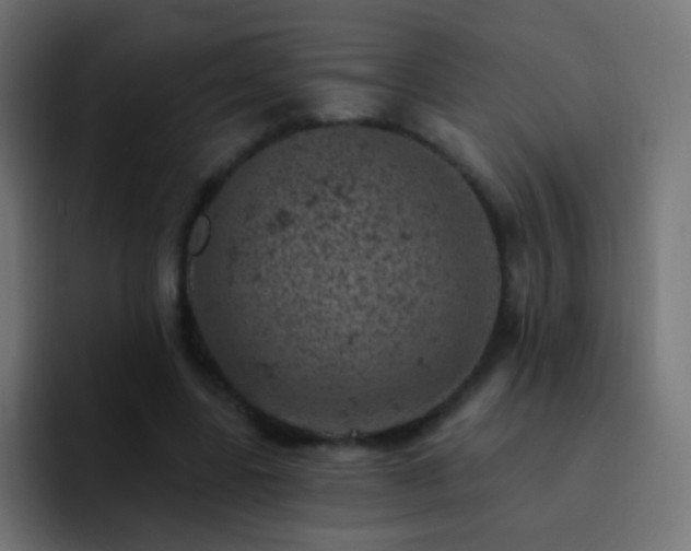 X0000093170539200710031505