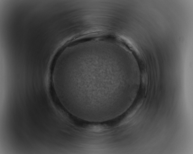 X0000093170540200710031505