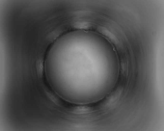 X0000093170541200710031505