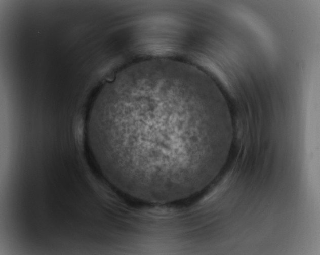 X0000093170542200710031505