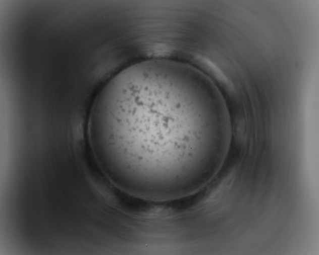 X0000093170543200710031505