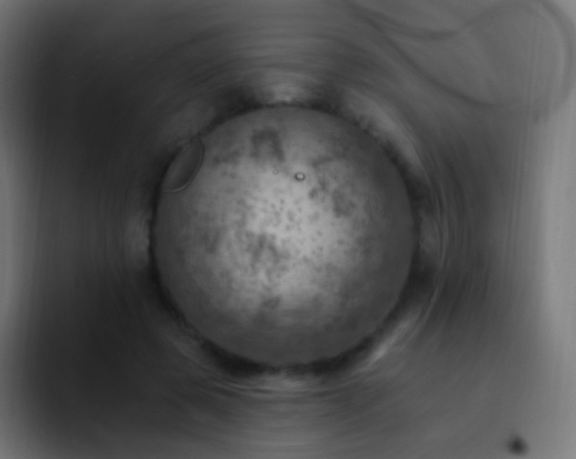 X0000093170545200710031505