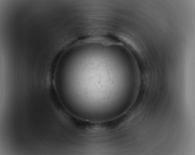 X0000093170546200710031505