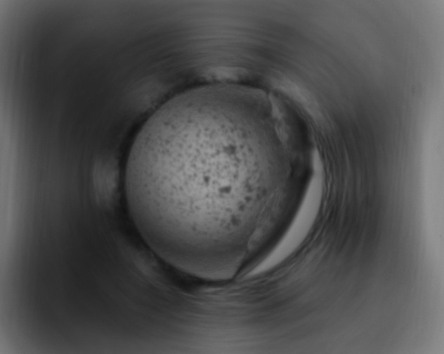 X0000093170548200710031505