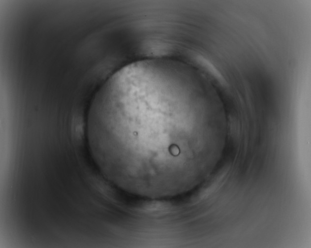 X0000093170549200710031506