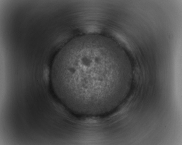 X0000093170550200710031506