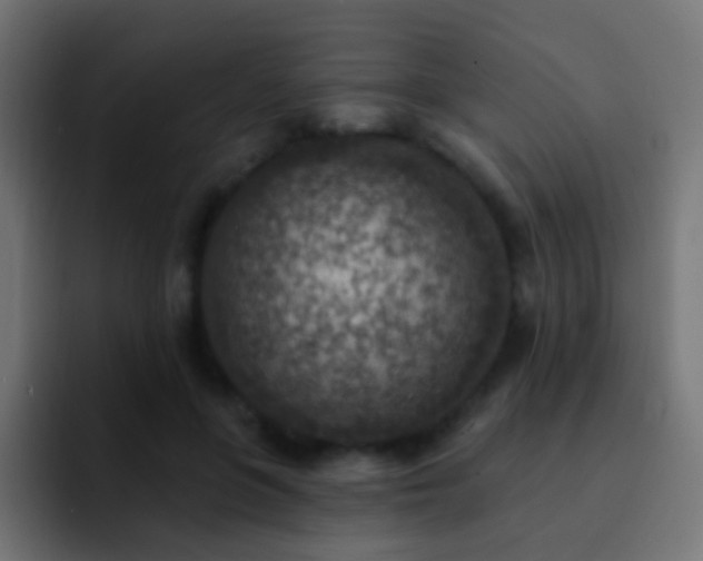 X0000093170551200710031506