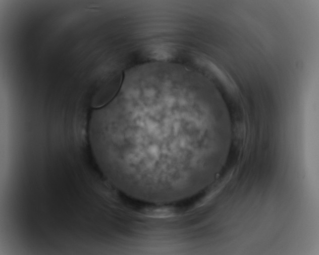 X0000093170553200710031506
