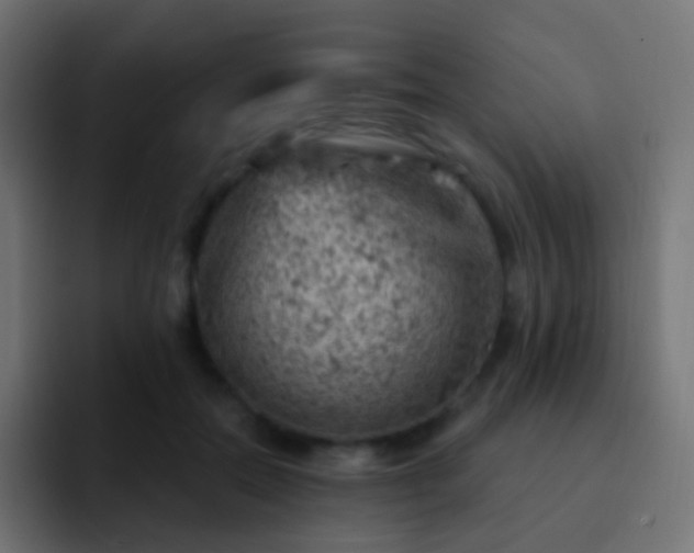 X0000093170554200710031506
