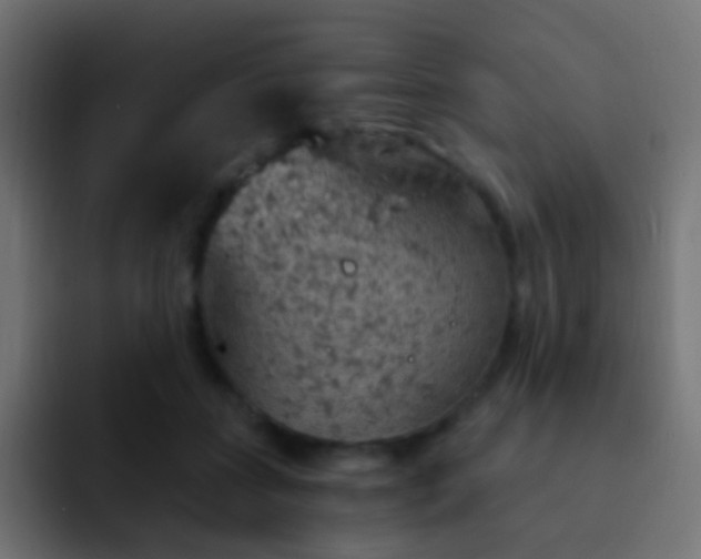 X0000093170555200710031506