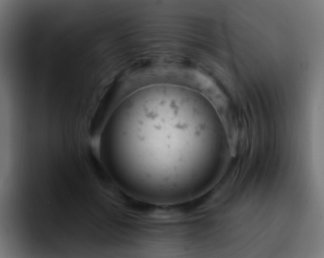 X0000093170556200710031506
