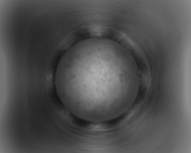 X0000093170557200710031506