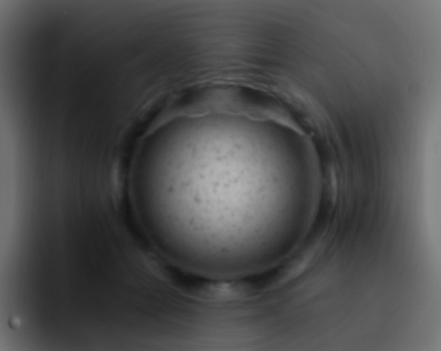 X0000093170558200710031506