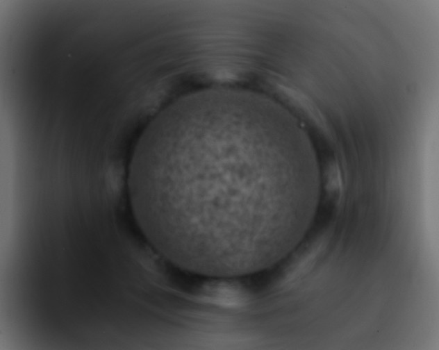 X0000093170559200710031506