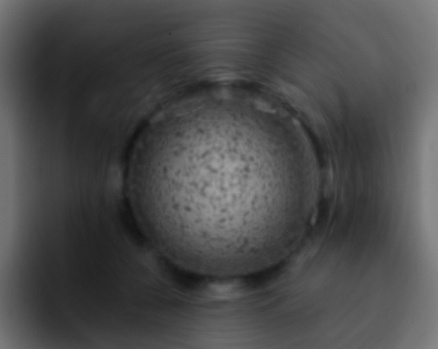 X0000093170560200710031506