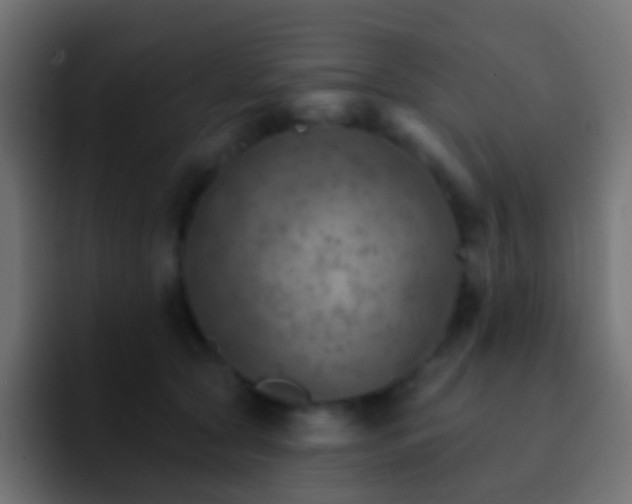 X0000093170561200710031506