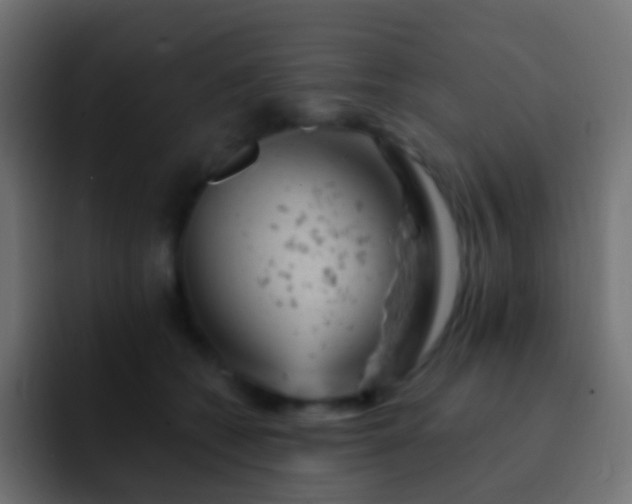 X0000093170562200710031506