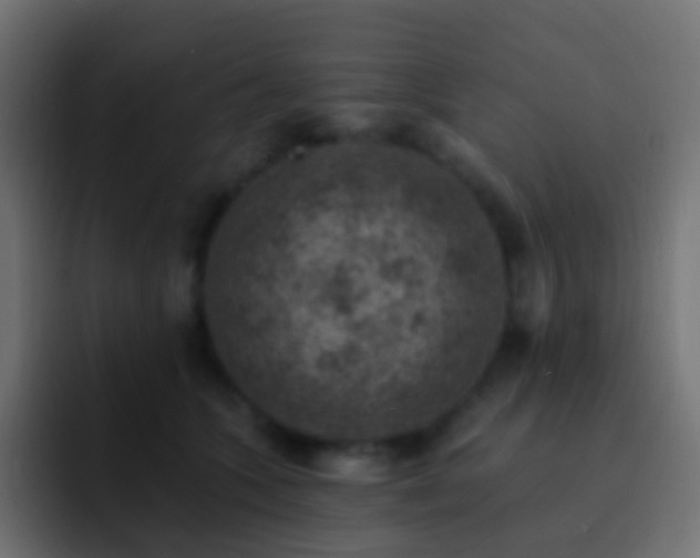 X0000093170563200710031506