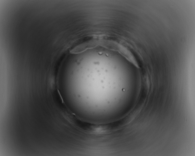 X0000093170564200710031506