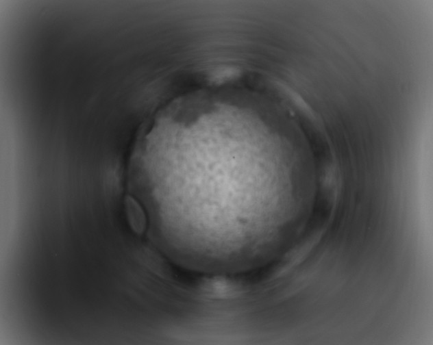 X0000093170565200710031506