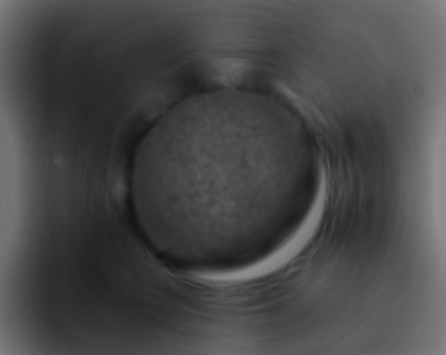 X0000093170566200710031506