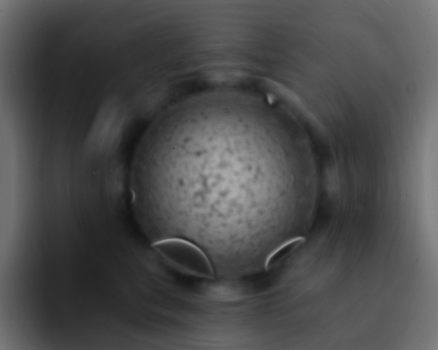 X0000093170567200710031506