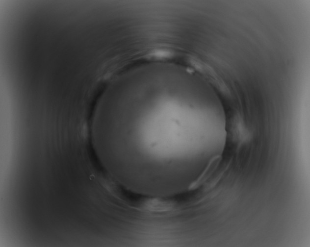 X0000093170568200710031506