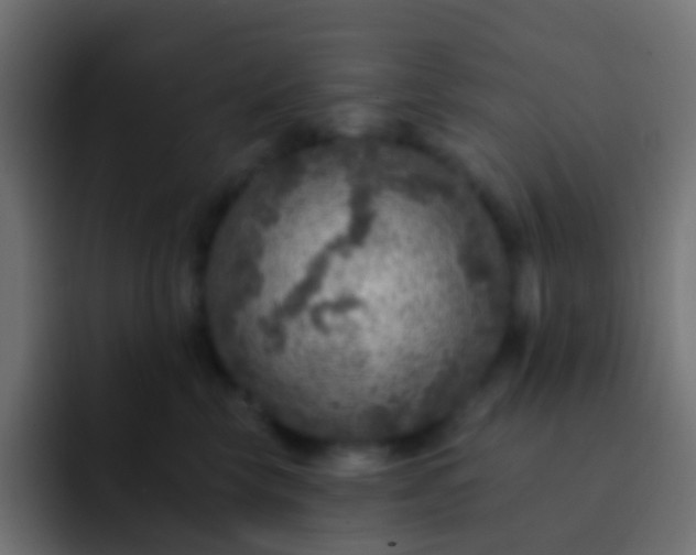 X0000093170569200710031506