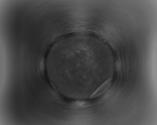 X0000093170570200710031506