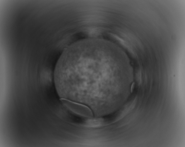 X0000093170571200710031506