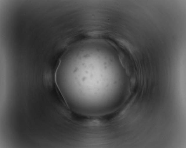 X0000093170572200710031506