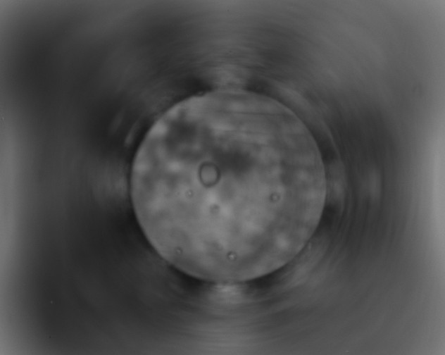 X0000093170573200710031506