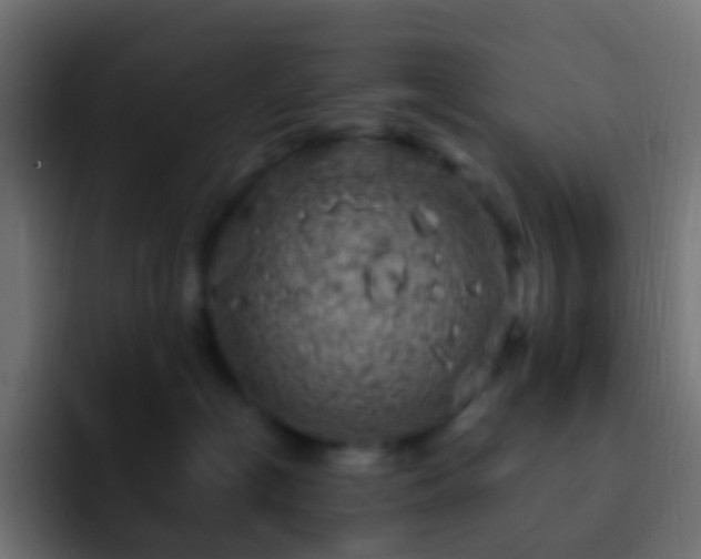 X0000093170574200710031506
