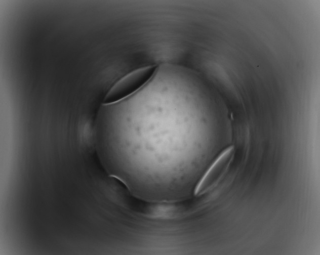 X0000093170575200710031506
