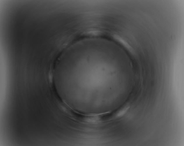 X0000093170576200710031506