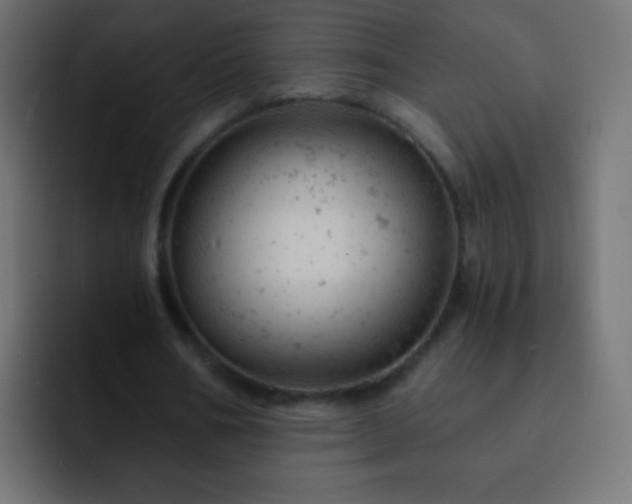 X0000093170578200710031505