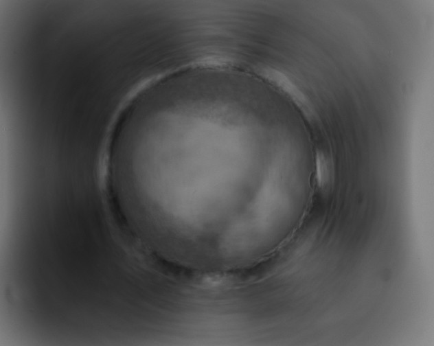X0000093170579200710031505
