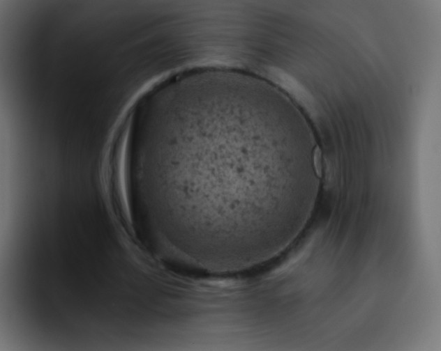 X0000093170580200710031505