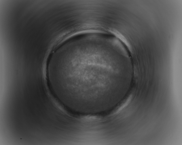 X0000093170581200710031505