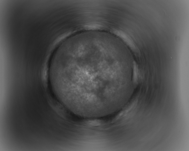 X0000093170583200710031505