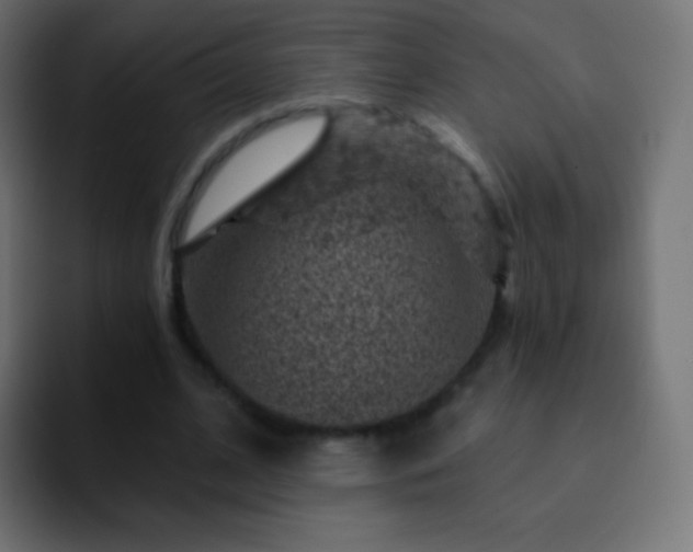 X0000093170584200710031505