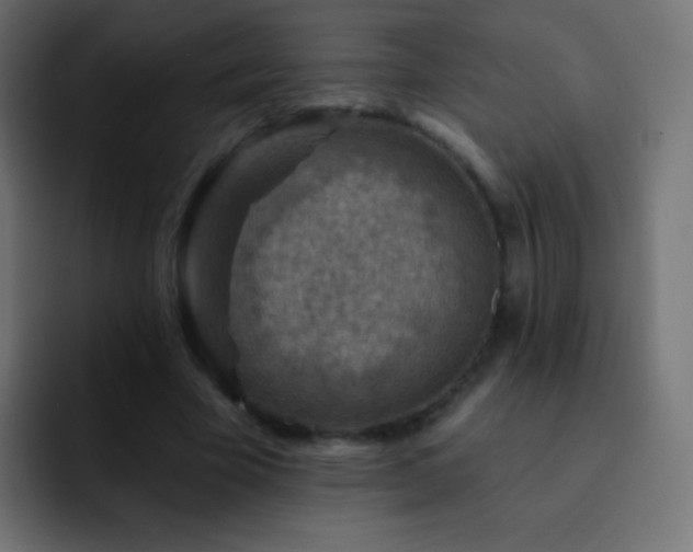 X0000093170585200710031505