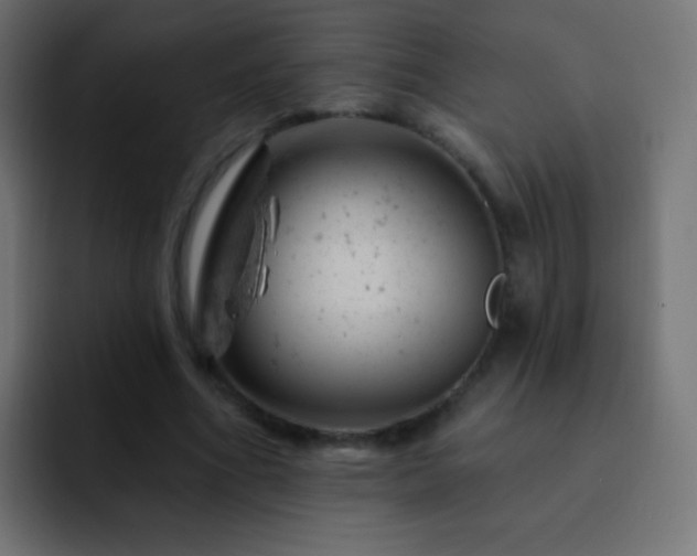 X0000093170586200710031505