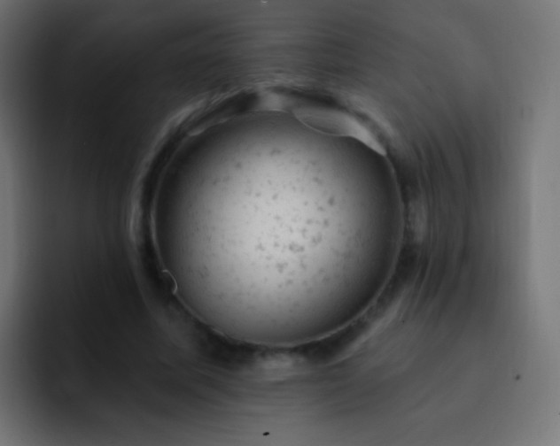 X0000093170587200710031505