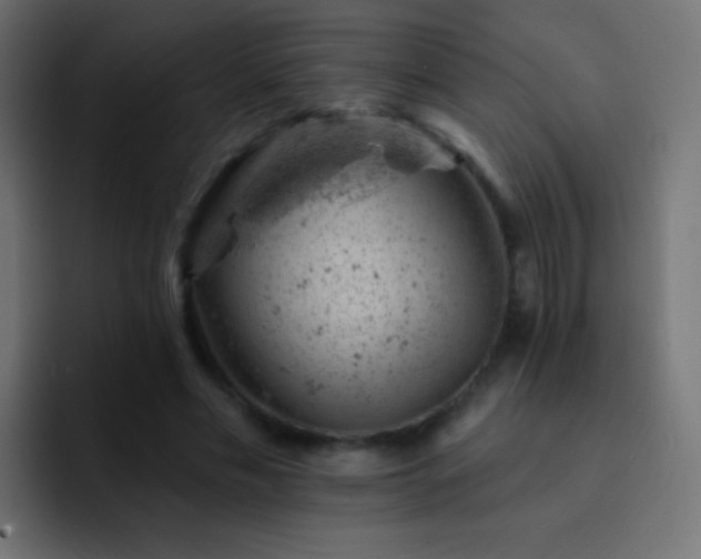 X0000093170589200710031505